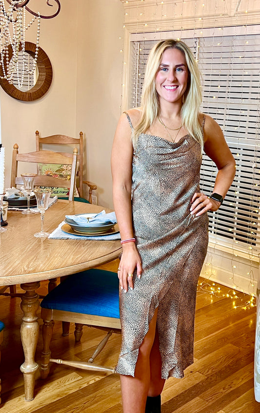 Ooo-La-Leopard Dress